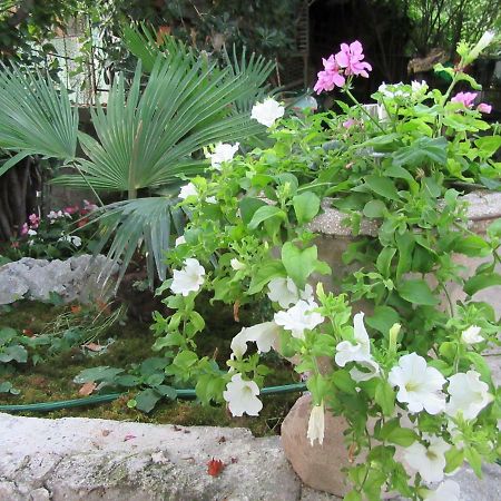 Apartman Julia Apartment Rijeka Ngoại thất bức ảnh